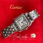 Replica Panthere De Cartier W4pn0007 8848 Factory Stainless Steel (9)