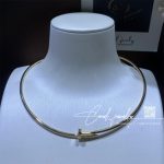 Cartier Juste Un Clou Collar Necklace Small Model Ref. B7224799 (2)