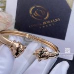 Cartier Panthère De Cartier Bracelet, Rose Gold, Onyx, Tsavorite Garnets Ref. N6711617 (4)