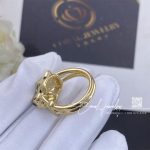 Cartier Panthère De Cartier Ring, Yellow Gold, Tsavorite, Onyx Ref. B4096700 (3)