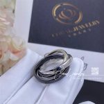 Cartier trinity ring, white gold, classic ceramic ref. b4095600 (3)