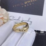 Cartier panthère de cartier ring yellow gold, tsavorite ref. b4230100 (6)