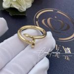 Cartier Juste Un Clou Ring Yellow Gold Ref. B4092600 (4)