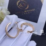 Cartier Love Earrings Rose Gold Ref. N8515192 (5)