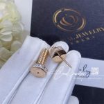 Cartier Ecrou De Cartier Earringbrooch N8515213 (7)