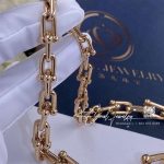 Tiffany Hardwear Graduated Link Necklace (5)