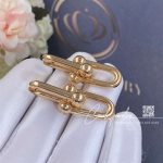 Tiffany Hardwear Link Earrings In Rose Gold (1)