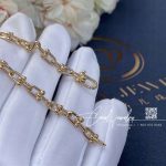 Tiffany Hardwear Micro Link Rose Gold Bracelet (5)