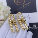 Tiffany Hardwear Large Link Earrings In Yellow Gold (5)