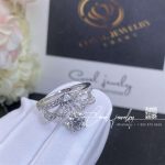 Chaumet Joséphine Splendeur Impériale Solitaire In Platinum (4)