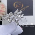 Graff New Dawn Multi Shape Double Diamond Ring Rgr752 (3)