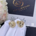 Dior Rose Des Vents Earring, Xs Yellow Gold And Diamond Jrdv95083 (1)