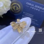 Cartier grain de cafe necklace diamonds b7224998 coral (3)