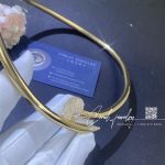 Cartier juste un clou collar necklace xlmodel yellow gold diamonds coral (4)