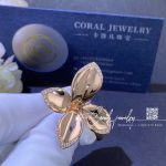 Pasquale bruni giardini segreti ring in 18k rose gold and daimons coral (2)