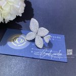 Pasquale bruni giardini segreti ring five leaves medium flower ring coral (7)