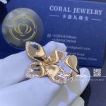 Pasquale giardini segreti ring coral (4)